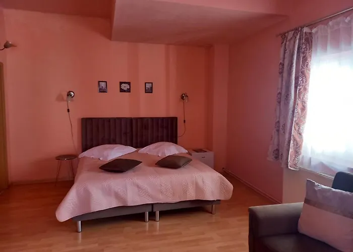 Pensiunea Vila Dana