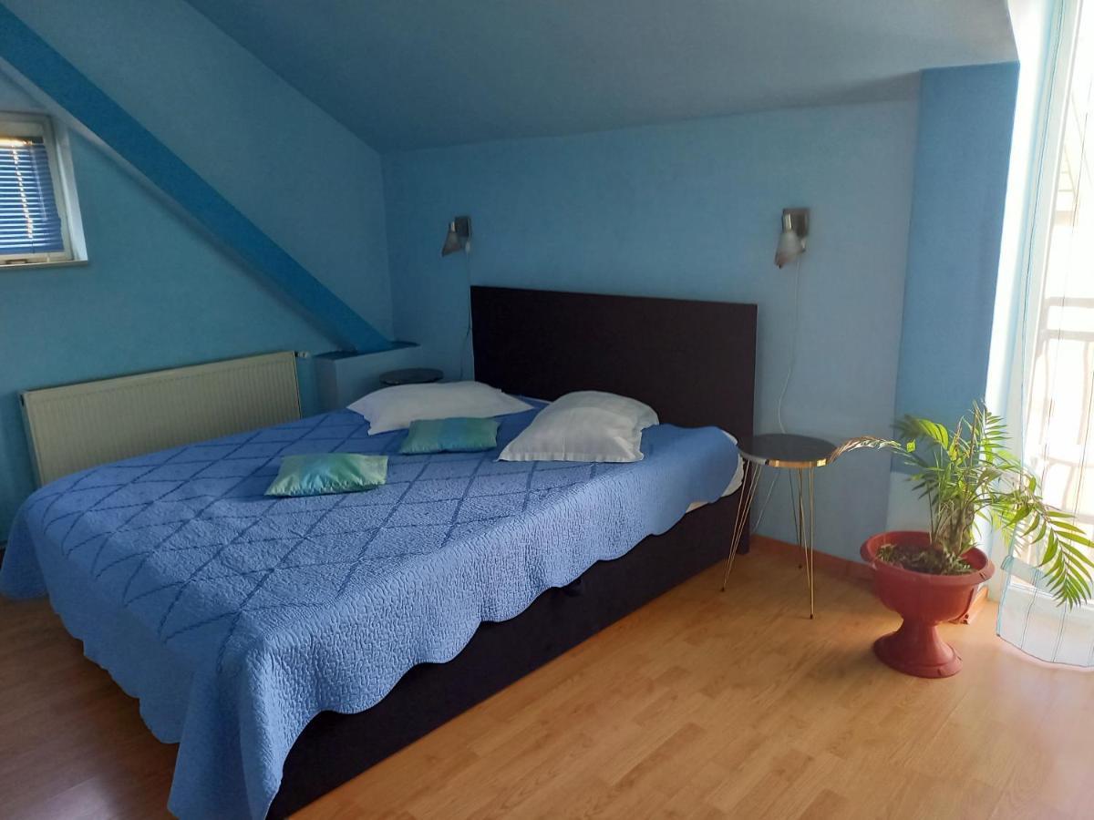 Pensiune Pensiunea Dana 2*